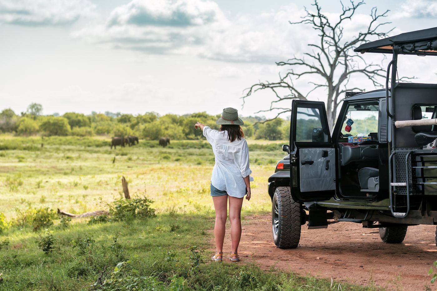 A traveller beside a 4x4 pointing out elephants on the plain
